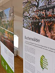 Bild - koenigsstuhl-neue-welterbeausstellung.jpg