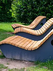 Bild - koenigsstuhl-neue_himmelsliegen-04062024.jpg