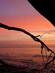 Bild - 07-20-sonnenaufgang-kreidekueste.tif