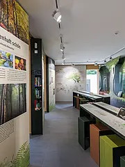 Bild - NP-Sassnitz_WWF_UNESCO_003.tif