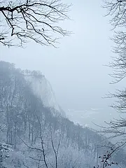 Bild - Koenigsstuhl_mit_Schnee_und_Nebel.jpg