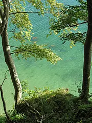 Bild - Kliffhangwald_01.jpg