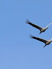 Bild - 09_19.tif