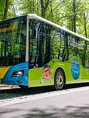 Bild - Hafenbus-2024.jpg