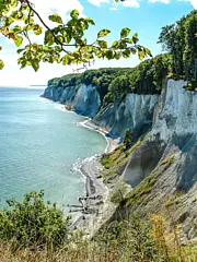 Eine malerische Küstenlandschaft mit steilen, bewaldeten Klippen und einem ruhigen, blauen Meer. Die Sonne scheint auf das Wasser, das sanft die Uferlinie umspült. Im Vordergrund sind einige grüne Blätter sichtbar.