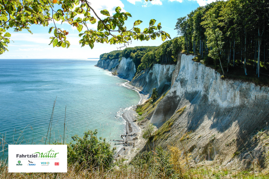 Eine malerische Küstenlandschaft mit steilen, bewaldeten Klippen und einem ruhigen, blauen Meer. Die Sonne scheint auf das Wasser, das sanft die Uferlinie umspült. Im Vordergrund sind einige grüne Blätter sichtbar.