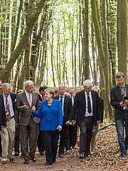 Bild - NP-Sassnitz_WWF_UNESCO_120.tif