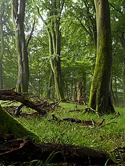 Bild - 09_16.tif